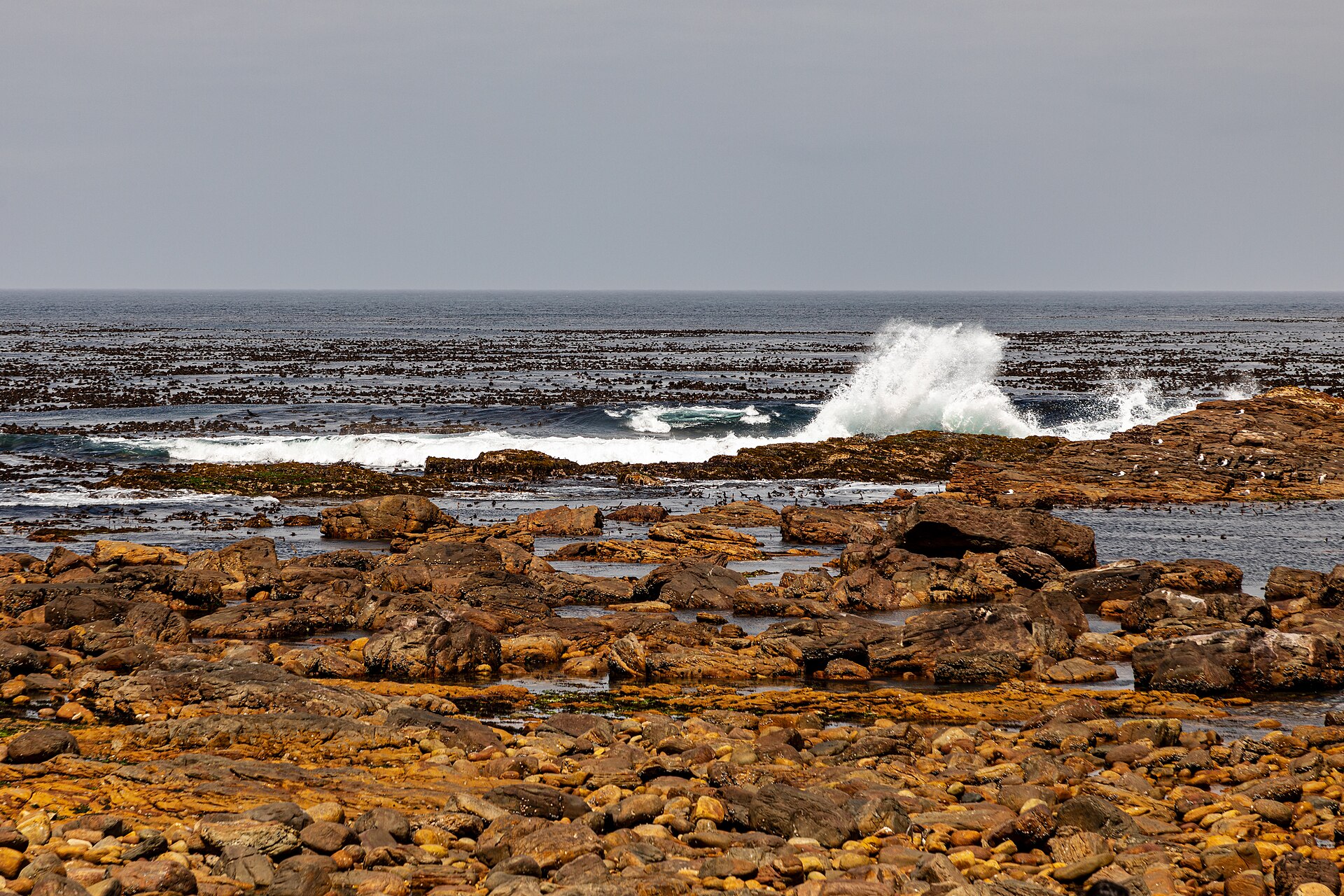 Cape Point peninsula coast