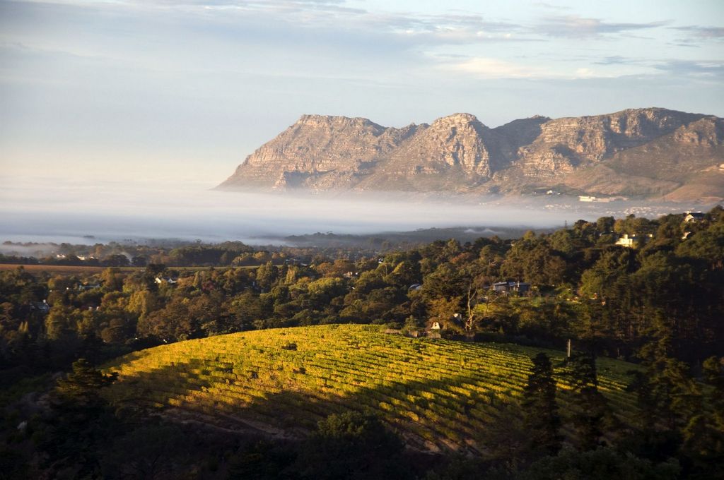 Cape Winelands vineyard mountains