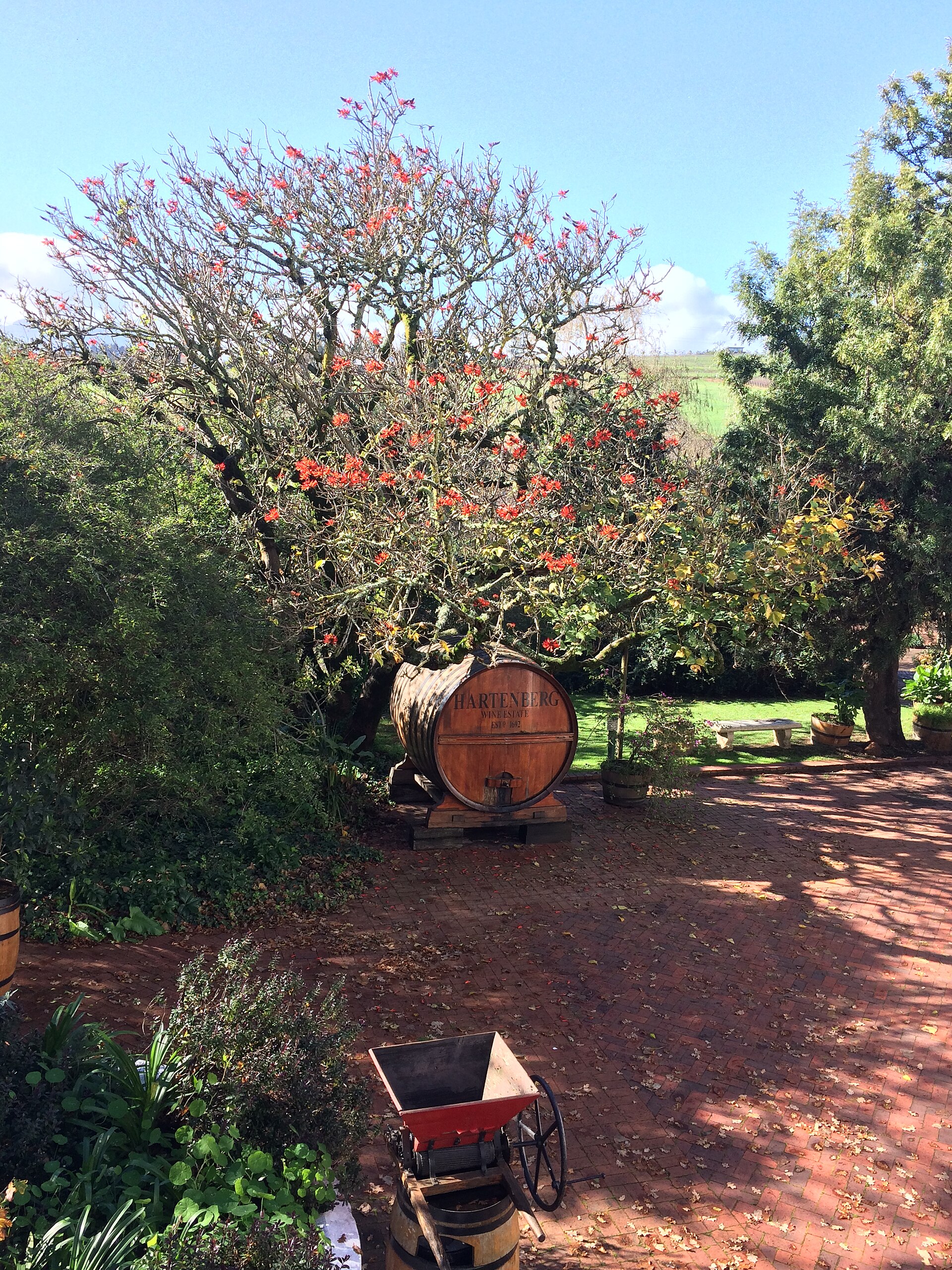 Stellenbosch wine estate