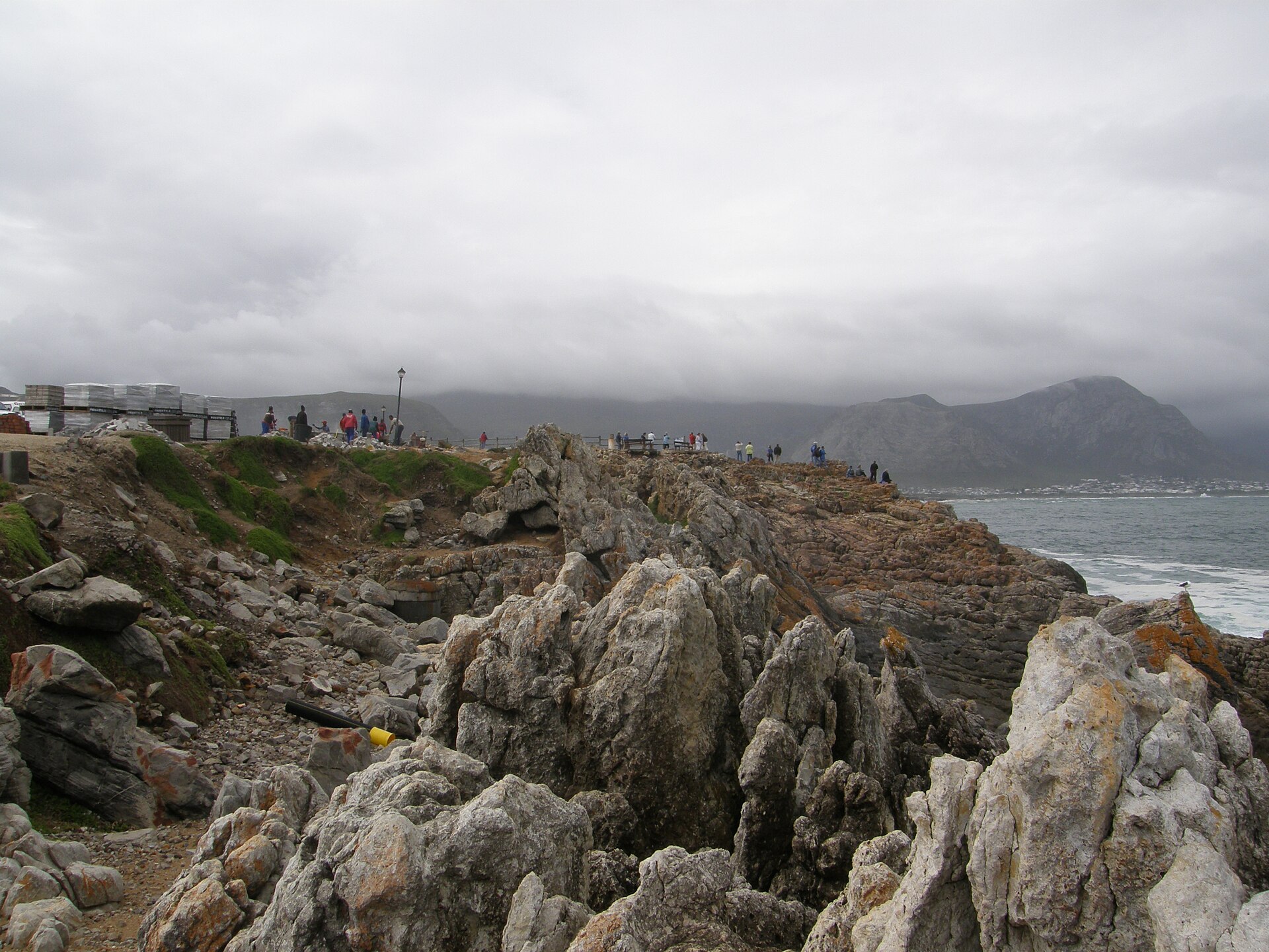 Hermanus whale watching cliff