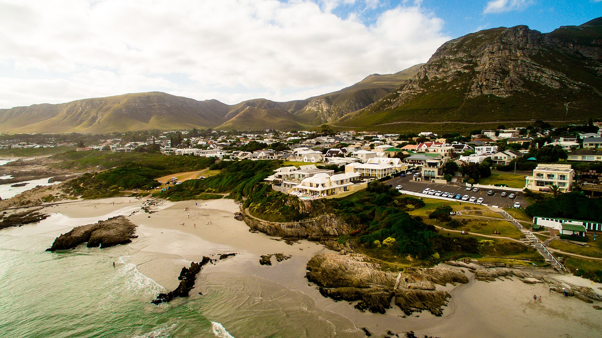 Hermanus cliff path whale