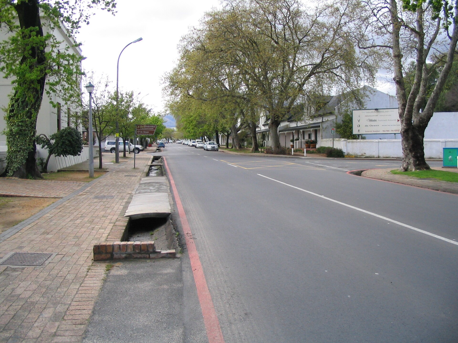 Stellenbosch Dorp Street oaks