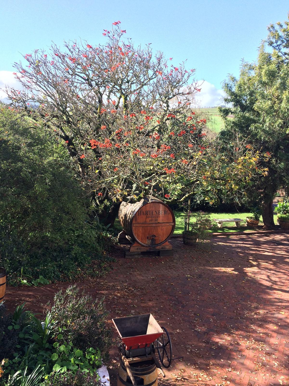 Stellenbosch wine estate
