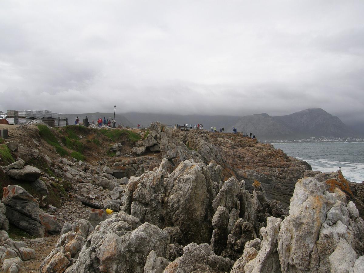 Hermanus whale watching cliff