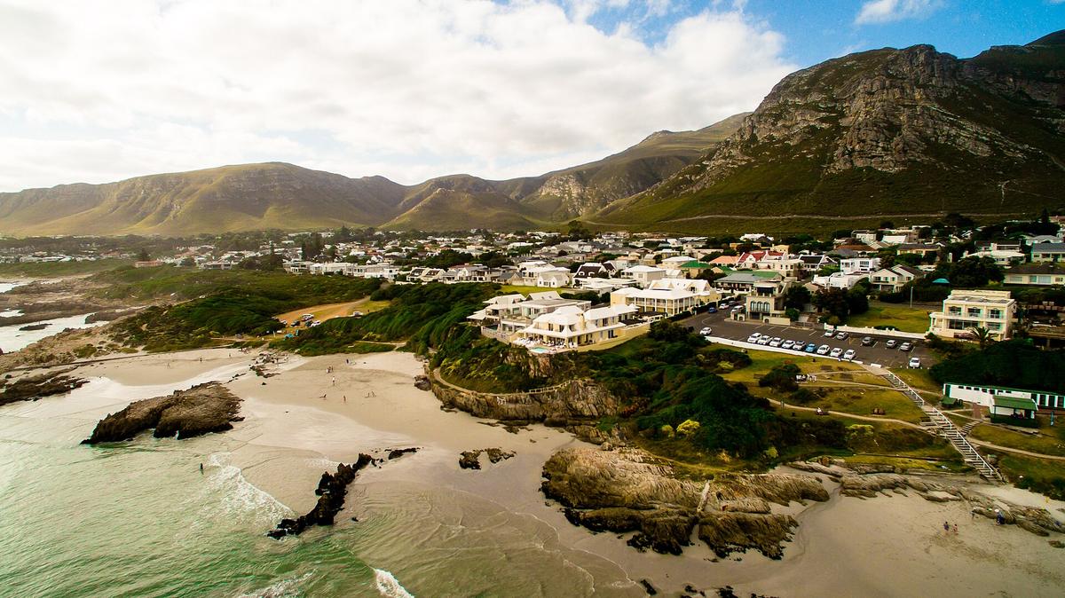Hermanus cliff path whale