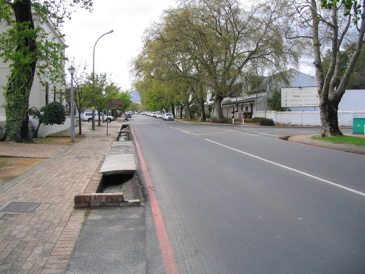 Stellenbosch Dorp Street oaks