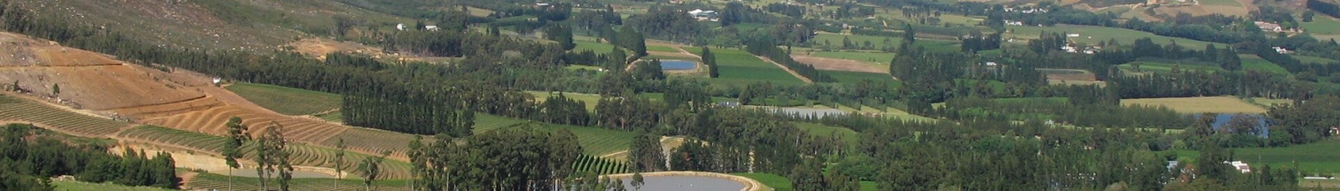 Franschhoek valley vineyards